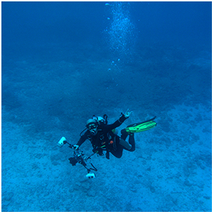 Jesper Rosenberg diving photography